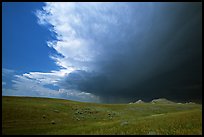 Storm cloud over prairie. South Dakota, USA