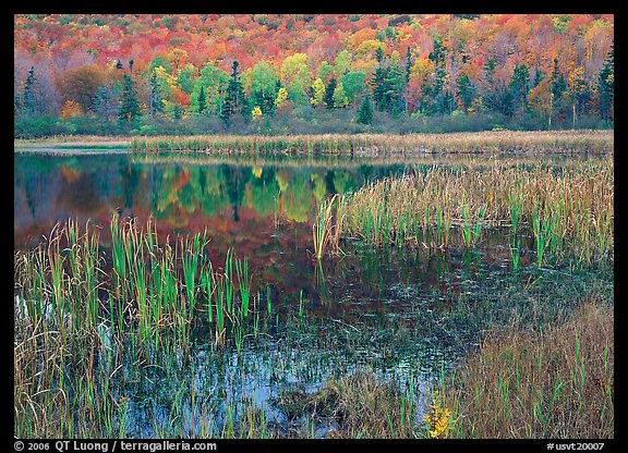 Autumn Reflections, Green Mountains. Vermont, New England, USA (color)