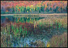 Autumn Reflections, Green Mountains. Vermont, New England, USA (color)