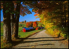 Maple trees, gravel road, and Jenne Farm, sunny autumn morning. Vermont, New England, USA (color)