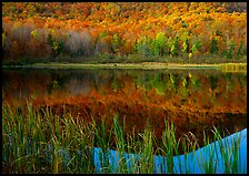 Reeds, and reflection of hill, Green Mountains. Vermont, New England, USA
