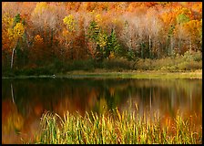 Hill in fall colors reflected in a pond. Vermont, New England, USA (color)