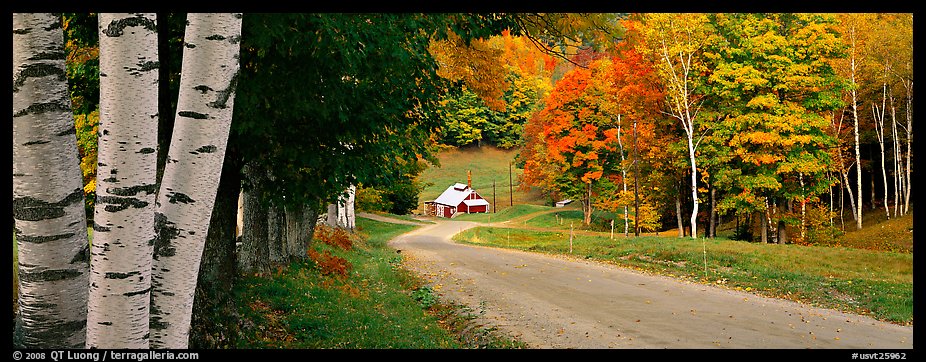 Pastoral landscape in autumn with road. Vermont, New England, USA (color)