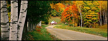Pastoral landscape in autumn with road. Vermont, New England, USA (Panoramic color)
