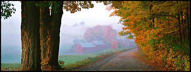 Rural view with road and farm in autumn fog. Vermont, New England, USA (Panoramic color)