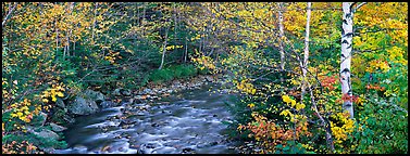 Autumn forest landscape with stream. Vermont, New England, USA (Panoramic color)