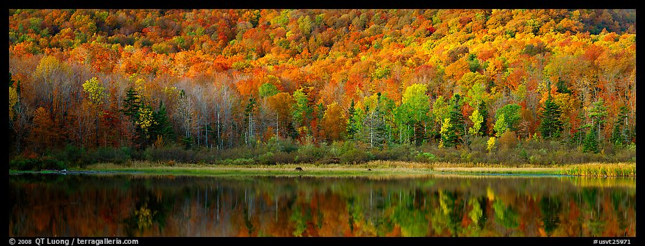 Hillside forest and pond in the fall. Vermont, New England, USA (color)