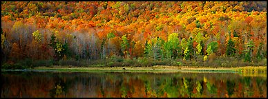 Hillside forest and pond in the fall. Vermont, New England, USA (Panoramic color)