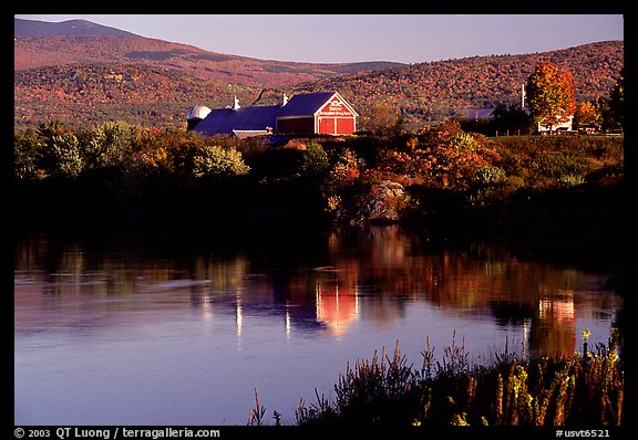 Red barns reflected in Line Pond near Pomfret. Vermont, New England, USA