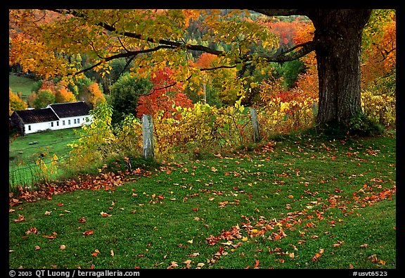 Peacham. Vermont, New England, USA (color)