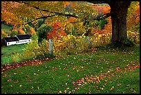 Peacham. Vermont, New England, USA (color)