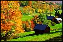 Sleepy Hollow Farm near Woodstock. Vermont, New England, USA