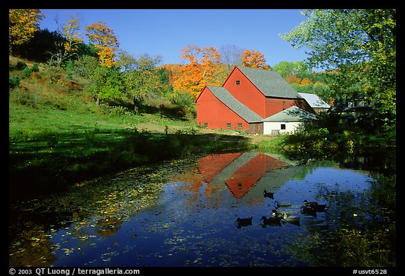 Pond and Sherbourne Farm in Hewettville. Vermont, New England, USA