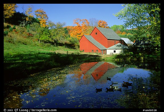 Pond and Sherbourne Farm in Hewettville. Vermont, New England, USA (color)