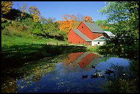 Pond and Sherbourne Farm in Hewettville. Vermont, New England, USA ( color)