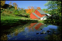 Pond and Sherbourne Farm in Hewettville. Vermont, New England, USA (color)