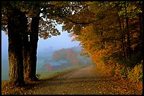 Jenne Farm, foggy morning. Vermont, New England, USA