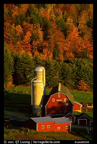 Farm and silos surrounded by hills in autumn  foliage. Vermont, New England, USA