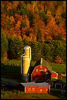 Farm and silos surrounded by hills in autumn  foliage. Vermont, New England, USA ( color)