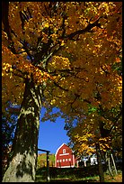 Elm Grove Farm near Woodstock. Vermont, New England, USA