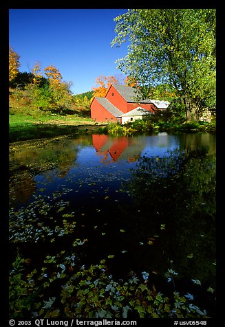 Pond and Sherbourne Farm in Hewettville. Vermont, New England, USA