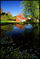 Pond and Sherbourne Farm in Hewettville. Vermont, New England, USA