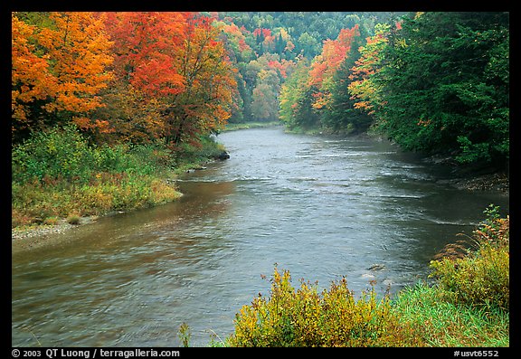 River with trees in autumn color. Vermont, New England, USA