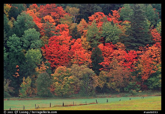 Meadow, fence, and colorful trees. Vermont, New England, USA
