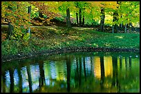 Pond with tree reflections. Vermont, New England, USA
