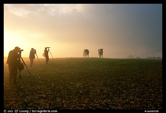 Photographers at sunrise near Jenne Farm. Vermont, New England, USA (color)