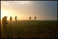 Photographers at sunrise near Jenne Farm. Vermont, New England, USA ( color)