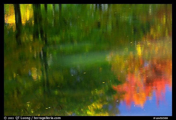 Foliage reflections. Vermont, New England, USA