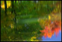 Foliage reflections. Vermont, New England, USA