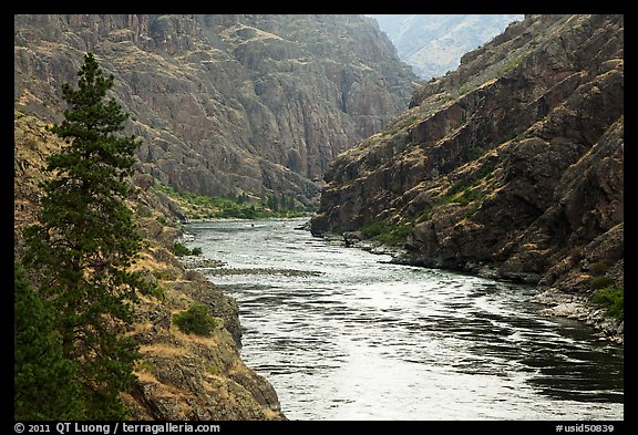 Wild portion of Snake River. Hells Canyon National Recreation Area, Idaho and Oregon, USA