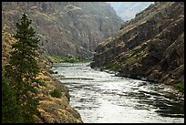 Wild portion of Snake River. Hells Canyon National Recreation Area, Idaho and Oregon, USA ( color)