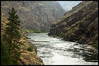 Wild portion of Snake River. Hells Canyon National Recreation Area, Idaho and Oregon, USA ( color)