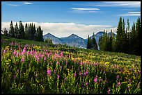 Pictures of Teton Range