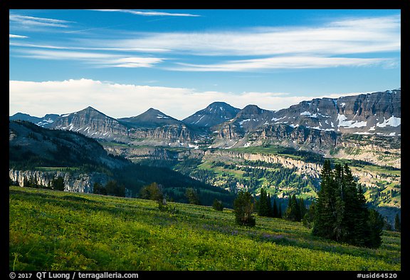 Meadows and mountains, Face Trail. Jedediah Smith Wilderness,  Caribou-Targhee National Forest, Idaho, USA (color)