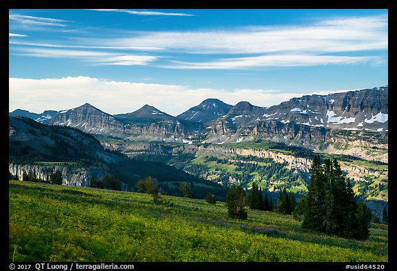 Meadows and mountains, Face Trail. Jedediah Smith Wilderness,  Caribou-Targhee National Forest, Idaho, USA