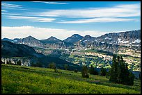 Meadows and mountains, Face Trail. Jedediah Smith Wilderness,  Caribou-Targhee National Forest, Idaho, USA ( color)