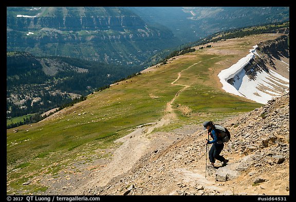 Hiker descending Table Mountain Trail. Jedediah Smith Wilderness,  Caribou-Targhee National Forest, Idaho, USA (color)