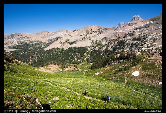 Hikers on Huckleberry Trail. Jedediah Smith Wilderness,  Caribou-Targhee National Forest, Idaho, USA (color)