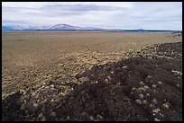 Aerial view of Little Park higher land surrouned by lava. Craters of the Moon National Monument and Preserve, Idaho, USA ( color)