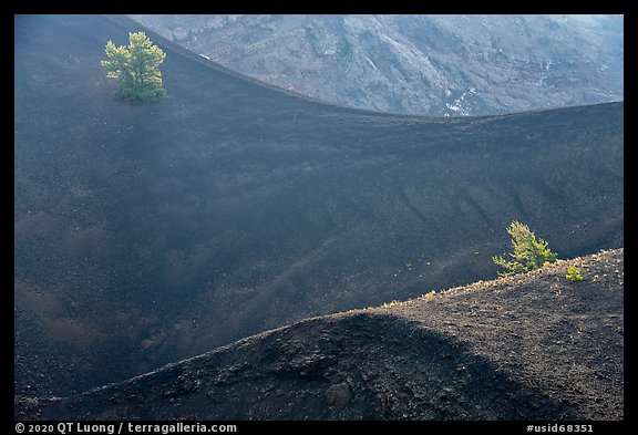 Curves in Big Craters cinder cones and Limber Pines. Craters of the Moon National Monument and Preserve, Idaho, USA (color)