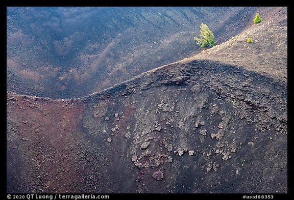 Colorful cinders and pines in Big Craters. Craters of the Moon National Monument and Preserve, Idaho, USA (color)