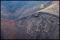 Colorful cinders and pines in Big Craters. Craters of the Moon National Monument and Preserve, Idaho, USA ( color)