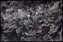 Close-up of colorful lava with lichen. Craters of the Moon National Monument and Preserve, Idaho, USA ( color)