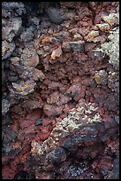 Close-up of red and purple lava rocks with lichens. Craters of the Moon National Monument and Preserve, Idaho, USA ( color)