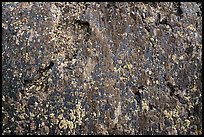 Close-up of lava and lichen. Craters of the Moon National Monument and Preserve, Idaho, USA ( color)