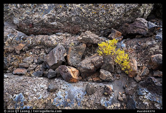 Lava rocks and blue tints of the Blue Dragon lava flow. Craters of the Moon National Monument and Preserve, Idaho, USA (color)